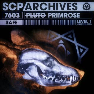 SCP Archives