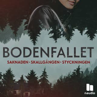 Bodenfallet