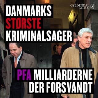 Danmarks største kriminalsager