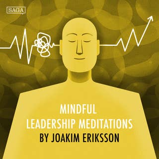 Meditations for Leaders - Sustainable High Perform