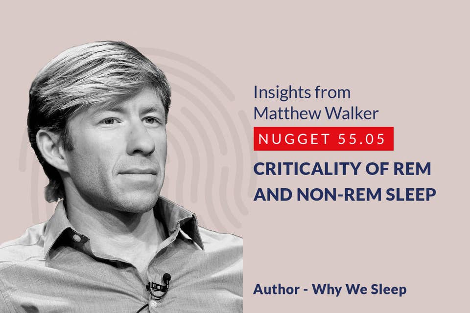 577: 55.05 Matthew Walker - REM and Non-REM sleep and criticality of each