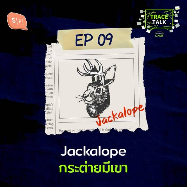Jackalope กระต่ายมีเขา | Trace Talk EP09