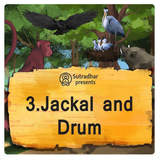 Jackal and Drum