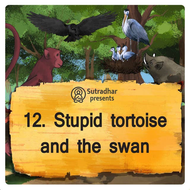 Stupid tortoise and the swasn