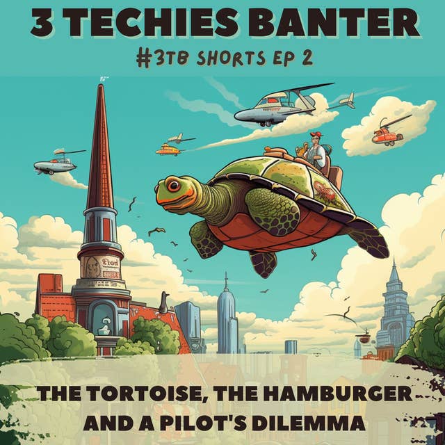 3TB Shorts 2 - The Tortoise, The Hamburger and a Pilot's Dilemma