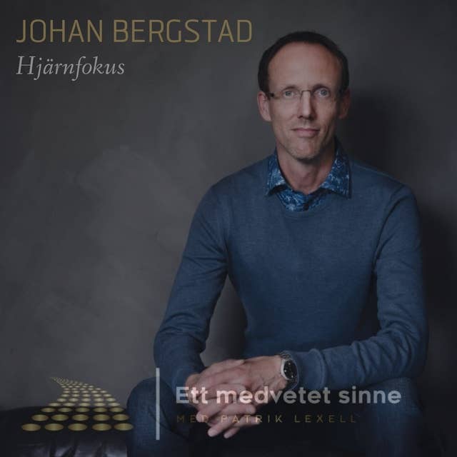 21. Johan Bergstad - Hjärnfokus