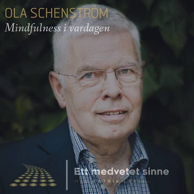 26. Ola Schenström - Mindfulness i vardagen