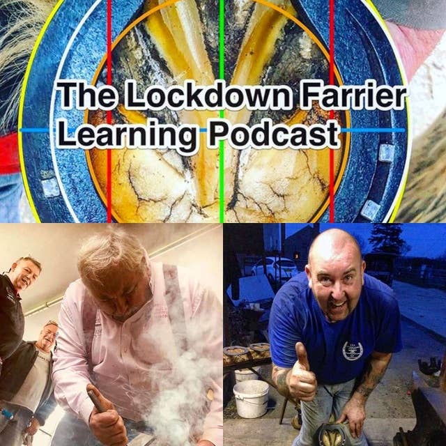 Episode 8 Laminitis Discussion with Dr Mark Caldwell PHD FWCF & Wayne Preece FWCF