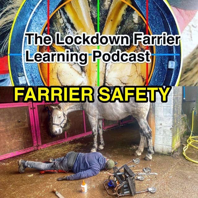 Episode 17 Farrier Safety