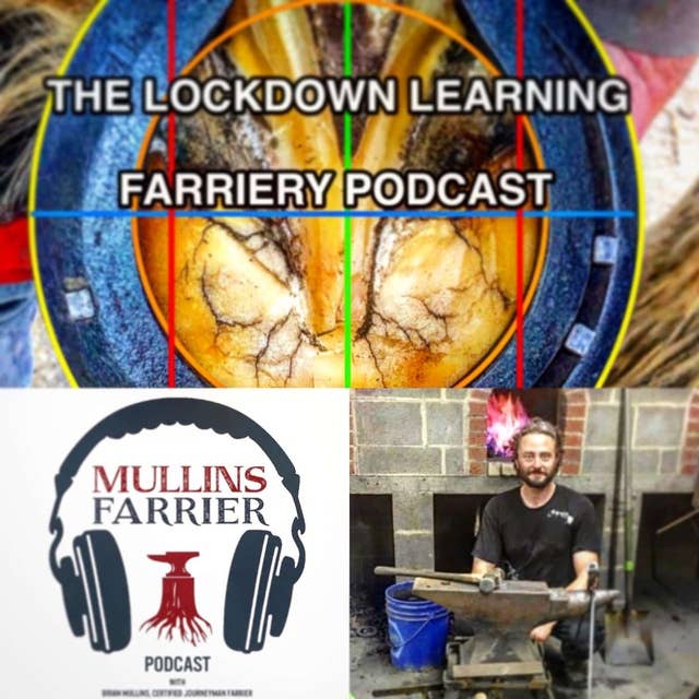 Episode 18 Farrier Training & Regulation in North America With Brian Mullins CJF