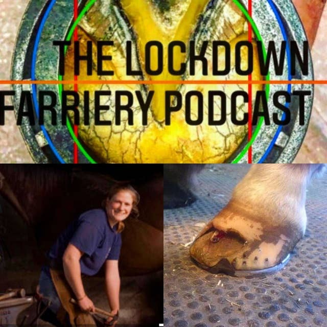 Episode 26 White Line Disease & Seedy Toe Explained Sarah Logie FWCF