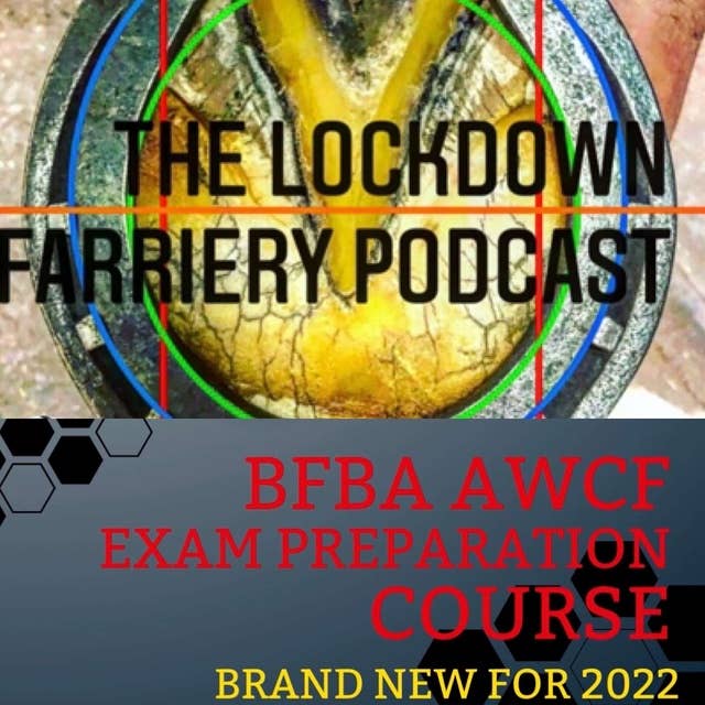 Episode 29 The NEW BFBA AWCF Preparation Course
