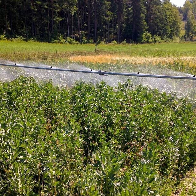 Kan Östersjövatten rädda bondens grödor?