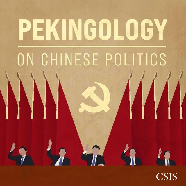 China's New Domestic Politics