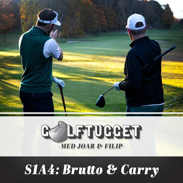 S1A4 Brutto & carry