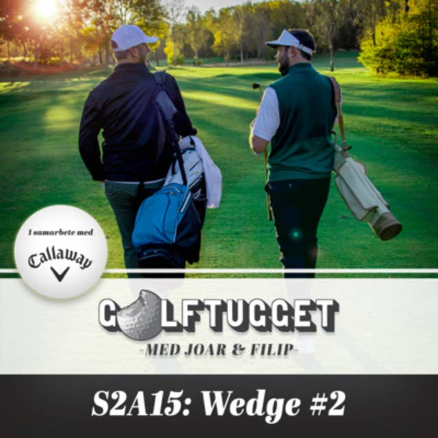 S2A15 Wedge #2