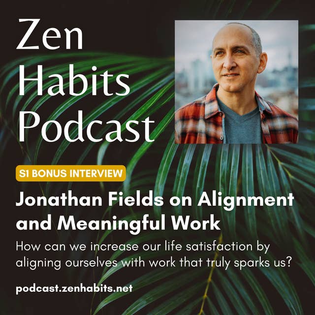 S1 Bonus - Jonathan Fields on Alignment & Meaningful Work