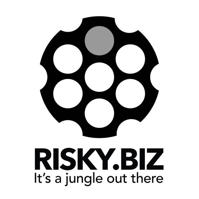 Risky Biz Soap Box: Haroon Meer on why the VC apocalypse is great news