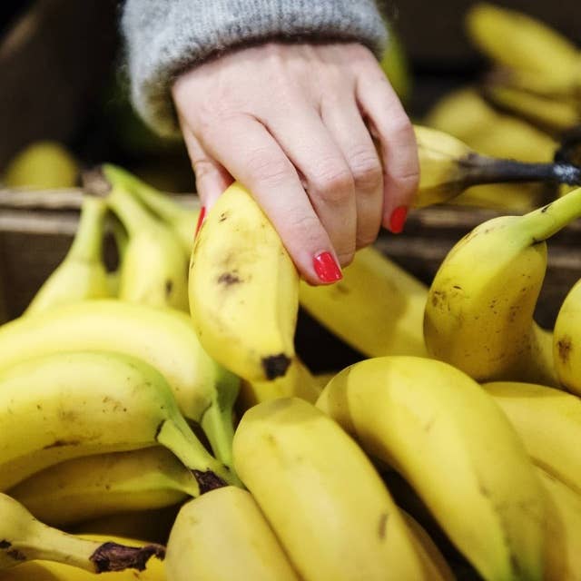 Rädda vår älskade banan – eller bygg en ny? (R)
