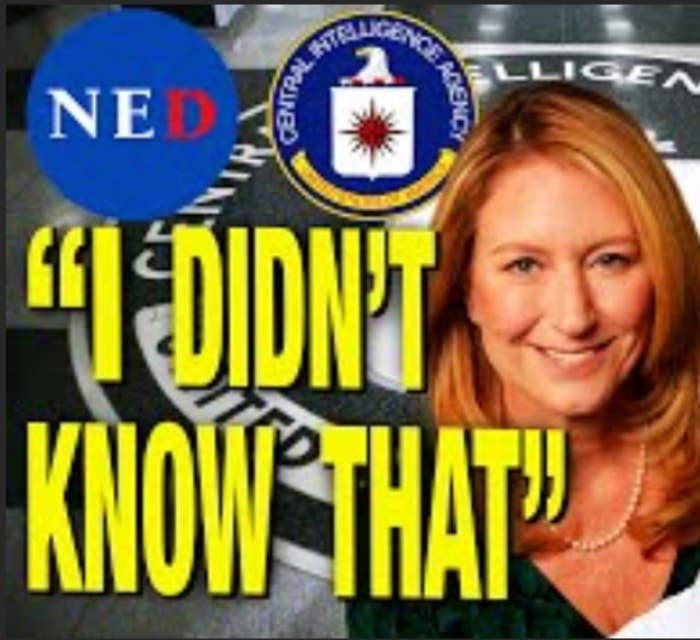 “Your Organization Is A CIA Cutout” – Grayzone Reporters School National Endowment for Democracy VP