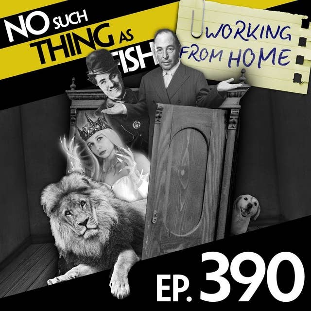 390: No Such Thing As The Chronicles of Chelmsford