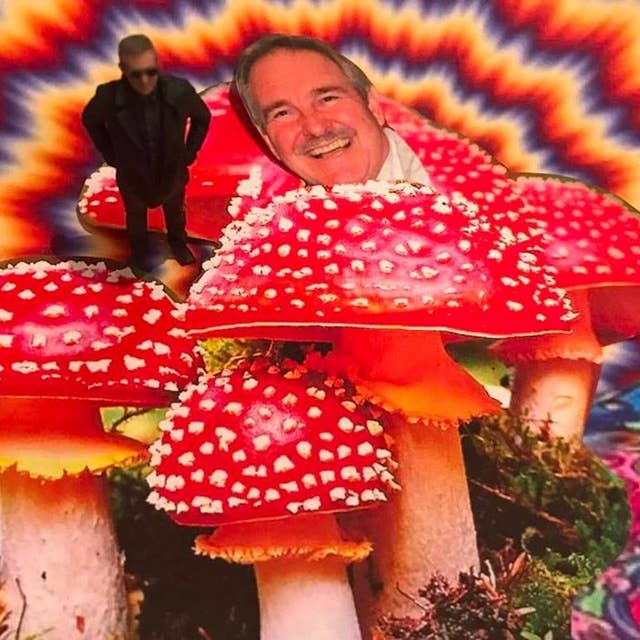 David Nutt - Magic, Mushrooms & LSD