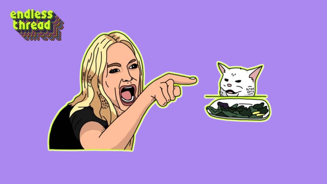 MEMES, Pt. 4: Woman Yelling at a Cat
