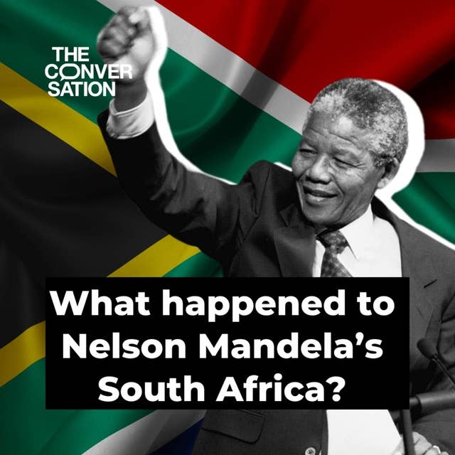 What happened to Nelson Mandela's South Africa part 2: Tasting the fruits of freedom