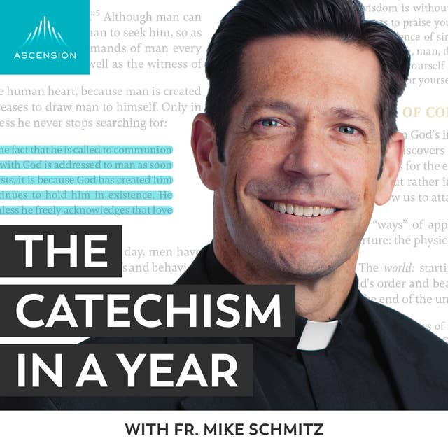 Introducing The Catechism in a Year (with Fr. Mike Schmitz) 