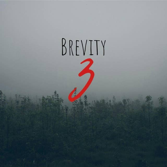 59: Brevity 3