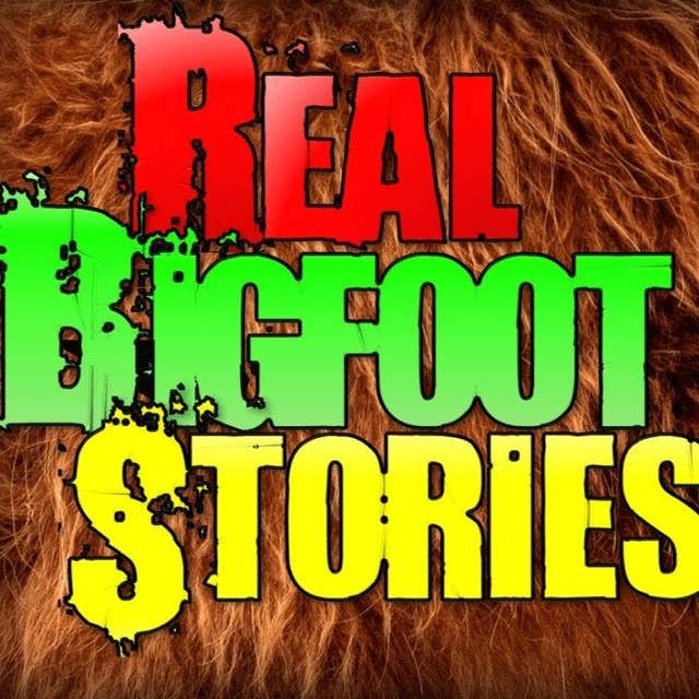 23 | 7 REAL Bigfoot Sightings