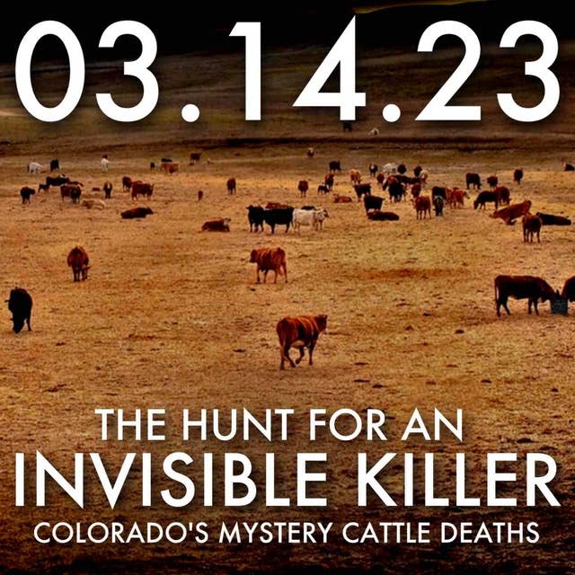 The Hunt for an Invisible Killer: Colorado's Mystery Cattle Deaths | MHP 03.14.23.