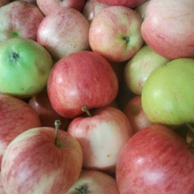 Syrning av grönsaker och angrepp på äpplen