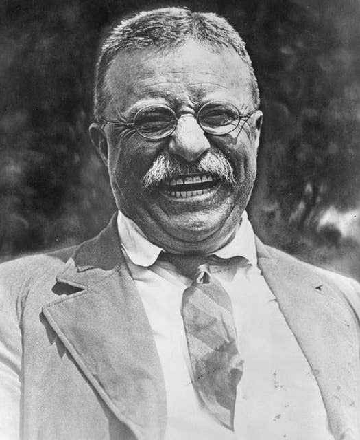 Lessons of Resiliency From Theodore Roosevelt