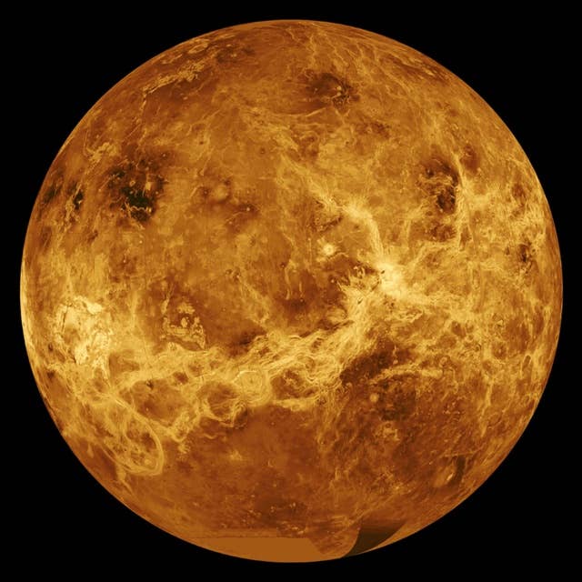 Cosmic Queries: Venus with Dr. FunkySpoon