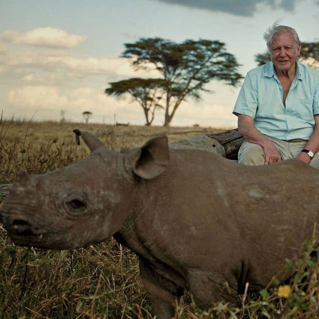 The Story of Life on Earth with Sir David Attenborough