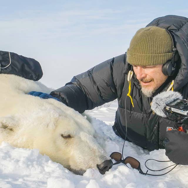 The polar bears of Hudson Bay: cubs, climate, and calories, part 1