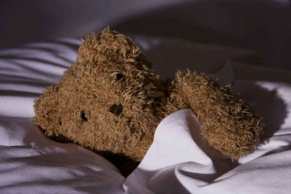 Bear Gut Microbes Help Prep Hibernation