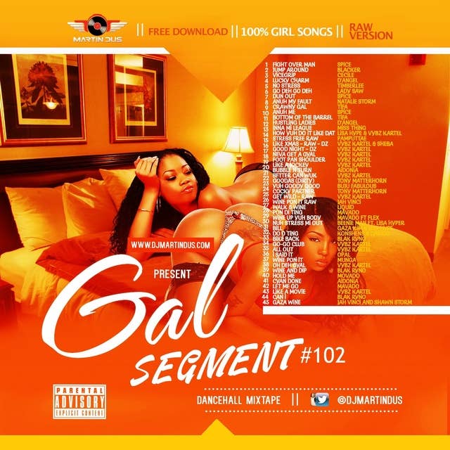 Gal Segment 102 (Dancehall Mixtape 2016)Raw Version