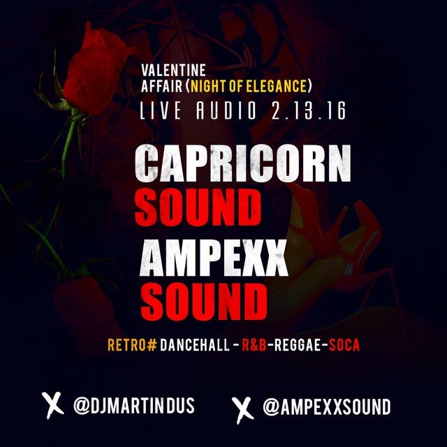 Live Party Audio 2.13.16 (Capricorn Sound x Ampexx Sound)