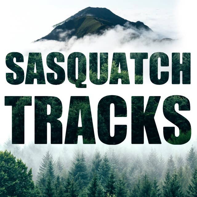 Blood on the Tracks: Shooting Sasquatch | ST 012