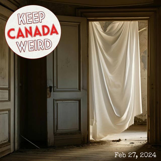 KEEP CANADA WEIRD - Feb 27th, 2024 - Dormitory squatter, the High River horse war, the Toronto glory hole trickster