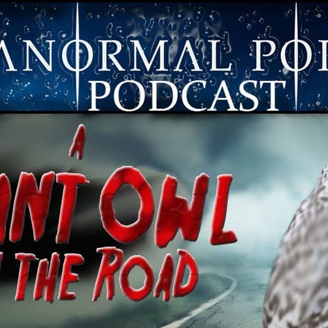 158 - A Giant Owl in the Road