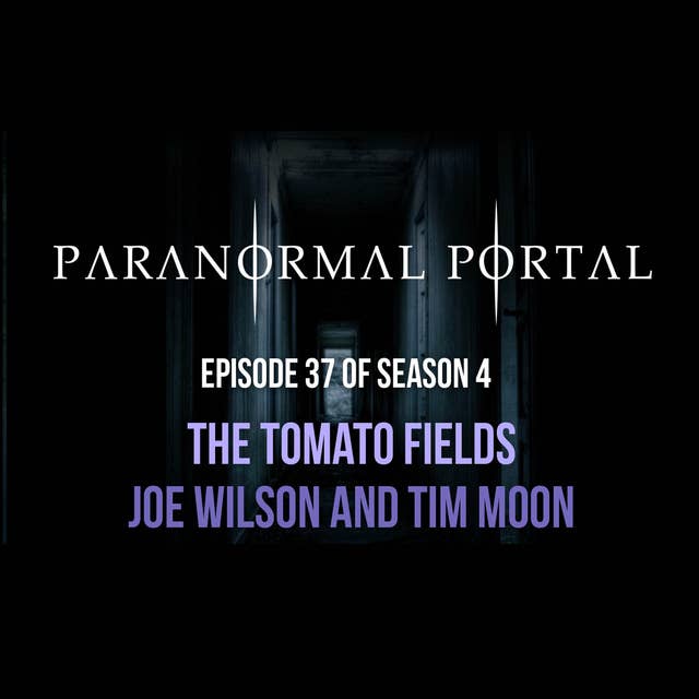 S4EP37 - The Tomato Fields - Joe Wilson and Tim Moon