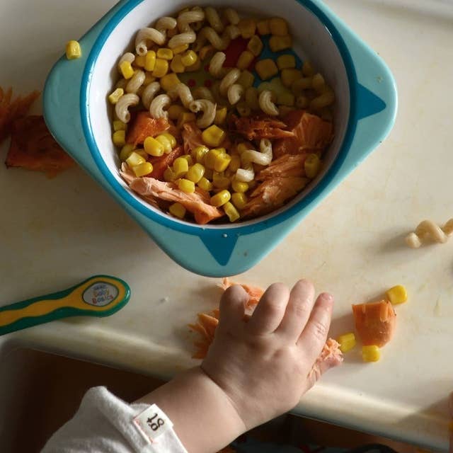 Lära sig äta – en barnslig upptäcksfärd
