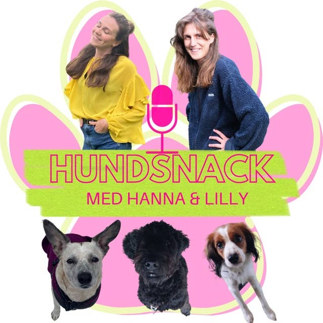 Teaser Hundsnack med Hanna och Lilly 