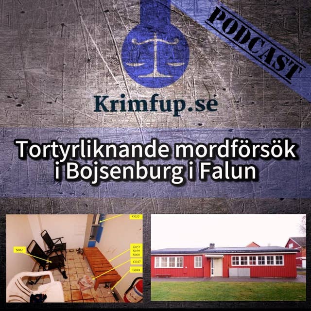 Tortyrliknande mordförsök i Bojsenburg i Falun - Anette - Vittne