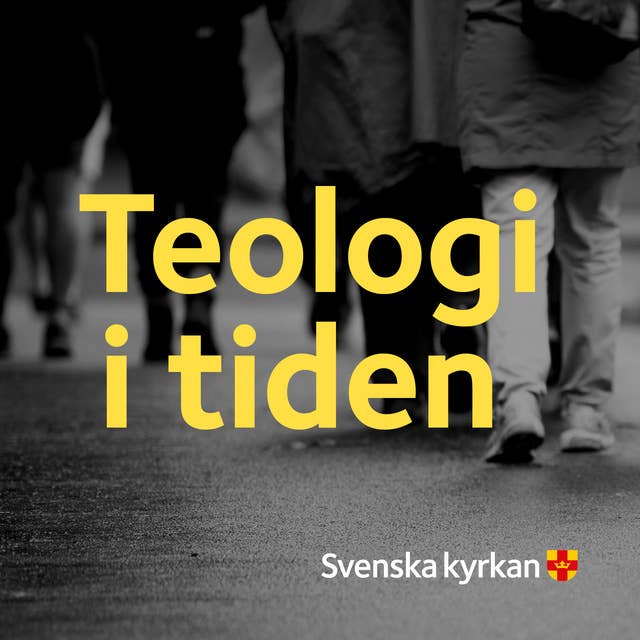 Avsnitt 1: ”Svenska värderingar” i ett pluralistiskt samhälle – om samhällskritisk teologisk etik 