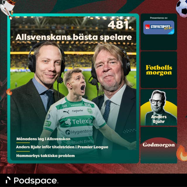 481. Allsvenskans bästa spelare