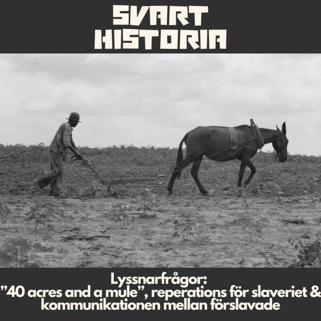 Lyssnarfrågor: ”40 acres and a mule”, reperations för slaveriet & kommunikationen mellan förslavade